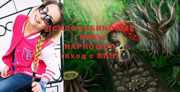 дурь Волоколамск