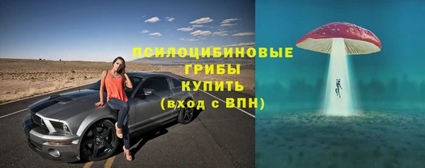 дурь Волоколамск